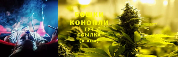 сатива Вязники